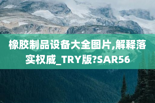 橡胶制品设备大全图片,解释落实权威_TRY版?SAR56