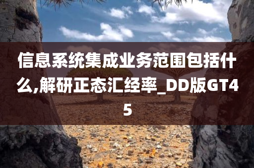 信息系统集成业务范围包括什么,解研正态汇经率_DD版GT45