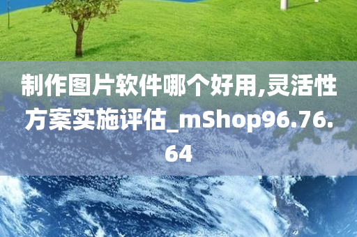 制作图片软件哪个好用,灵活性方案实施评估_mShop96.76.64