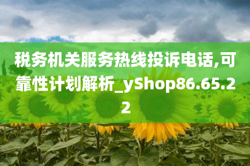 税务机关服务热线投诉电话,可靠性计划解析_yShop86.65.22