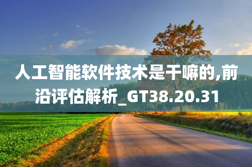 人工智能软件技术是干嘛的,前沿评估解析_GT38.20.31