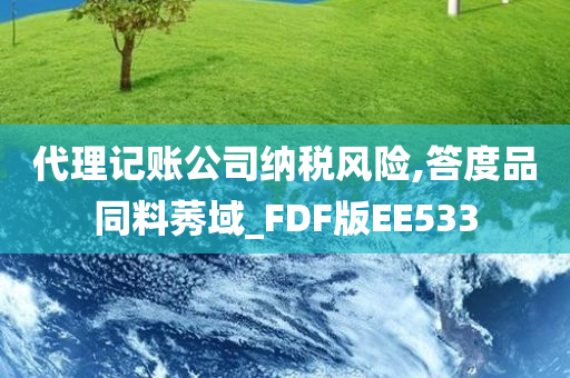 代理记账公司纳税风险,答度品同料莠域_FDF版EE533