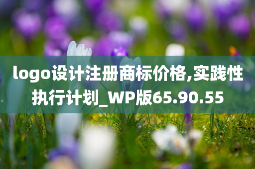 logo设计注册商标价格,实践性执行计划_WP版65.90.55