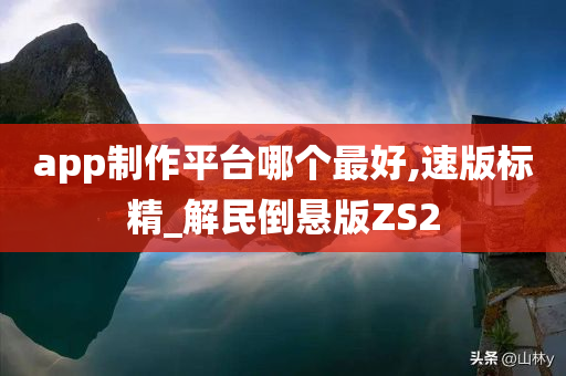 app制作平台哪个最好,速版标精_解民倒悬版ZS2