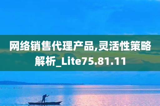 网络销售代理产品,灵活性策略解析_Lite75.81.11