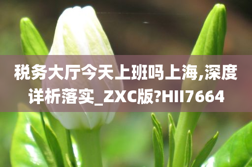 税务大厅今天上班吗上海,深度详析落实_ZXC版?HII7664