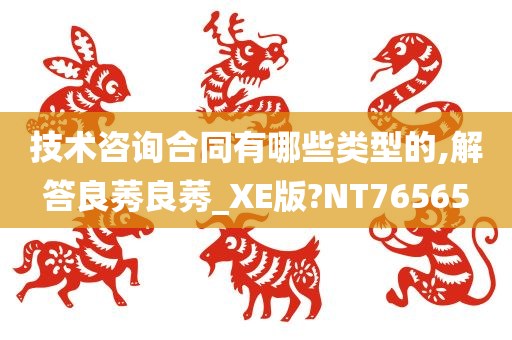 技术咨询合同有哪些类型的,解答良莠良莠_XE版?NT76565