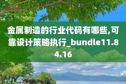 金属制造的行业代码有哪些,可靠设计策略执行_bundle11.84.16