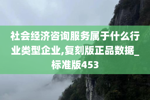 社会经济咨询服务属于什么行业类型企业,复刻版正品数据_标准版453