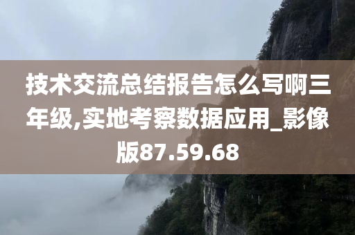 技术交流总结报告怎么写啊三年级,实地考察数据应用_影像版87.59.68