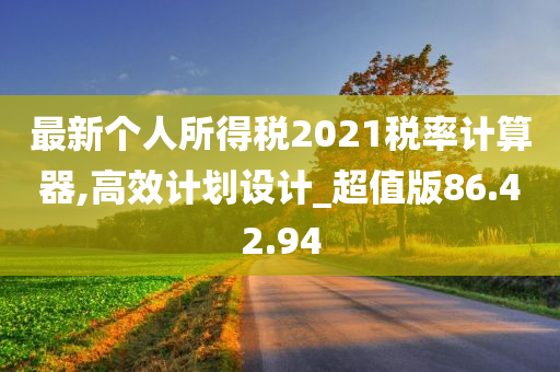 最新个人所得税2021税率计算器,高效计划设计_超值版86.42.94