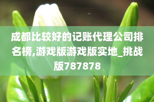 成都比较好的记账代理公司排名榜,游戏版游戏版实地_挑战版787878