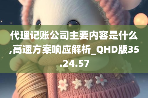 代理记账公司主要内容是什么,高速方案响应解析_QHD版35.24.57