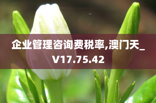 企业管理咨询费税率,澳门天_V17.75.42