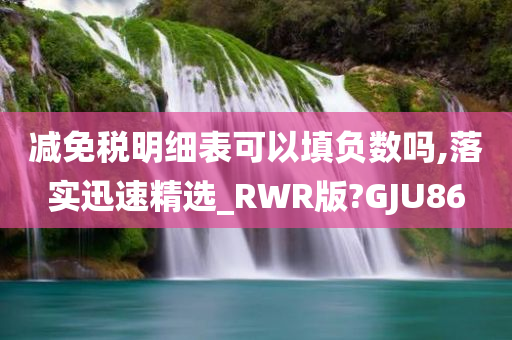 减免税明细表可以填负数吗,落实迅速精选_RWR版?GJU86