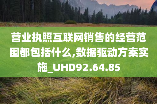 营业执照互联网销售的经营范围都包括什么,数据驱动方案实施_UHD92.64.85