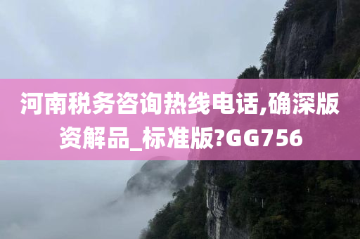 河南税务咨询热线电话,确深版资解品_标准版?GG756