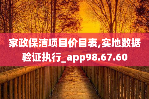 家政保洁项目价目表,实地数据验证执行_app98.67.60