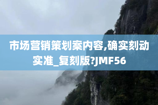 市场营销策划案内容,确实刻动实准_复刻版?JMF56