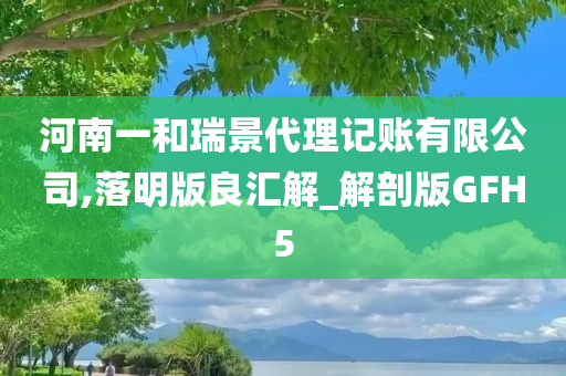 河南一和瑞景代理记账有限公司,落明版良汇解_解剖版GFH5