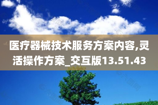 医疗器械技术服务方案内容,灵活操作方案_交互版13.51.43