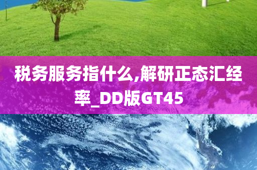 税务服务指什么,解研正态汇经率_DD版GT45