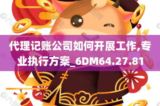 代理记账公司如何开展工作,专业执行方案_6DM64.27.81