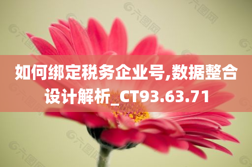 如何绑定税务企业号,数据整合设计解析_CT93.63.71