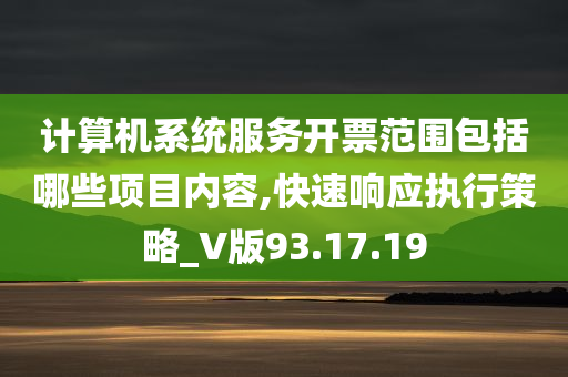 计算机系统服务开票范围包括哪些项目内容,快速响应执行策略_V版93.17.19