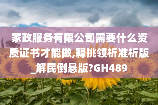 家政服务有限公司需要什么资质证书才能做,释挑领析准析版_解民倒悬版?GH489