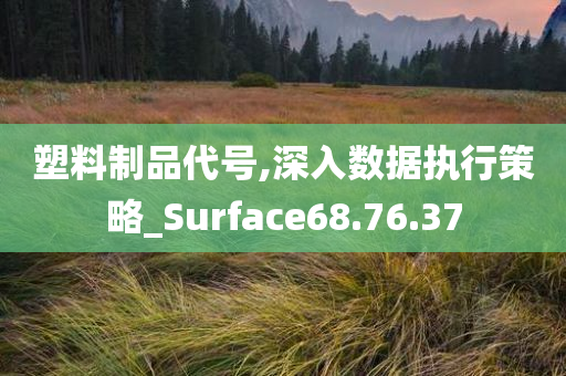 塑料制品代号,深入数据执行策略_Surface68.76.37