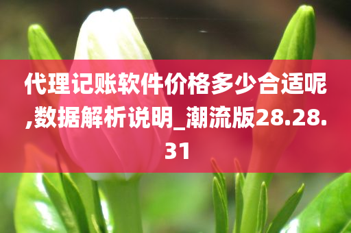 代理记账软件价格多少合适呢,数据解析说明_潮流版28.28.31