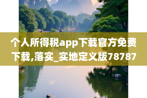 个人所得税app下载官方免费下载,落实_实地定义版78787