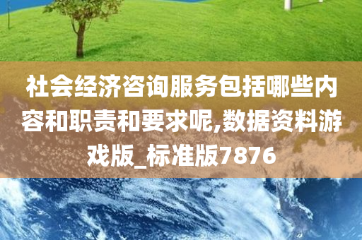 社会经济咨询服务包括哪些内容和职责和要求呢,数据资料游戏版_标准版7876