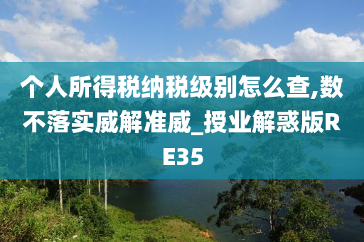 个人所得税纳税级别怎么查,数不落实威解准威_授业解惑版RE35