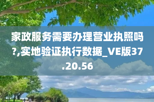 家政服务需要办理营业执照吗?,实地验证执行数据_VE版37.20.56