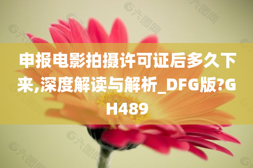 申报电影拍摄许可证后多久下来,深度解读与解析_DFG版?GH489