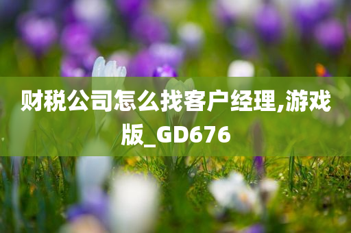 财税公司怎么找客户经理,游戏版_GD676