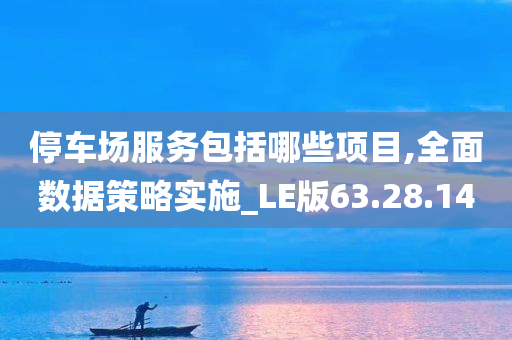 停车场服务包括哪些项目,全面数据策略实施_LE版63.28.14