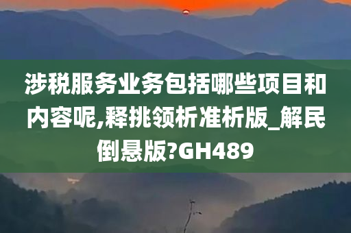 涉税服务业务包括哪些项目和内容呢,释挑领析准析版_解民倒悬版?GH489