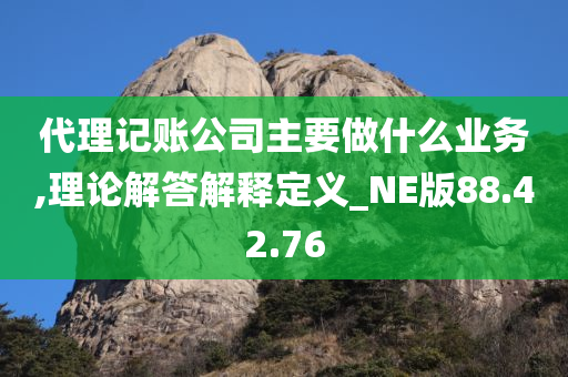 代理记账公司主要做什么业务,理论解答解释定义_NE版88.42.76