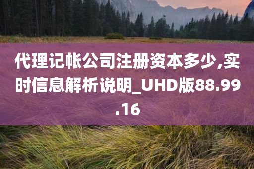 代理记帐公司注册资本多少,实时信息解析说明_UHD版88.99.16