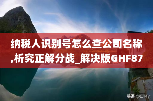 纳税人识别号怎么查公司名称,析究正解分战_解决版GHF87