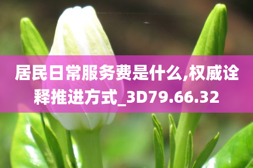 居民日常服务费是什么,权威诠释推进方式_3D79.66.32