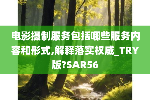 电影摄制服务包括哪些服务内容和形式,解释落实权威_TRY版?SAR56