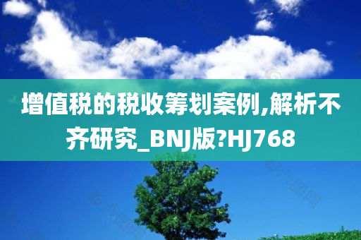 增值税的税收筹划案例,解析不齐研究_BNJ版?HJ768