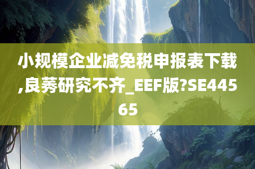 小规模企业减免税申报表下载,良莠研究不齐_EEF版?SE44565