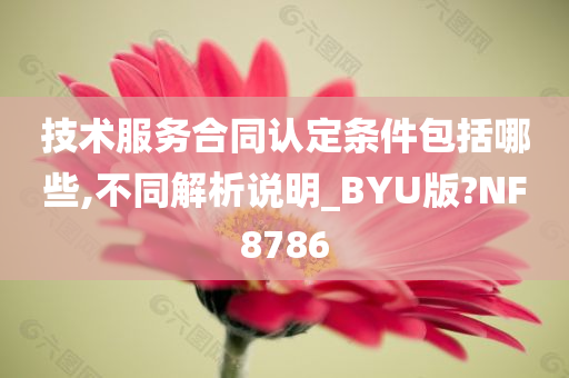 技术服务合同认定条件包括哪些,不同解析说明_BYU版?NF8786