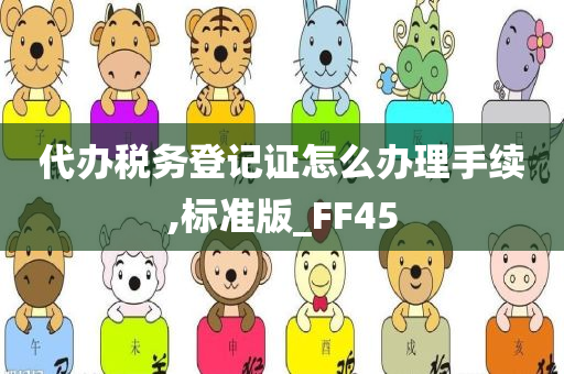 代办税务登记证怎么办理手续,标准版_FF45