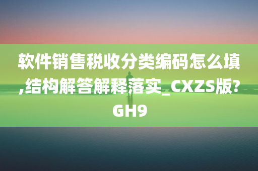 软件销售税收分类编码怎么填,结构解答解释落实_CXZS版?GH9